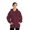 Barstow Industrial Supply - Unisex Hooded Sweatshirt - Image 6